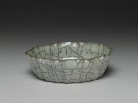 Hibiscus-shaped brush washer