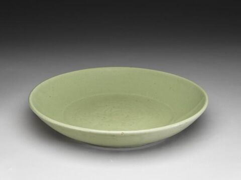 Dish with lotus decoration